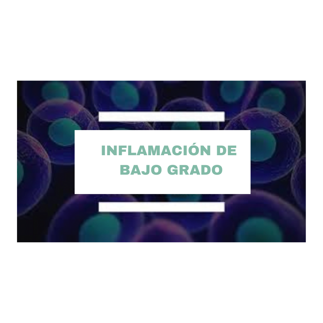 Lee más sobre el artículo ¿POR QUÉ VIVIMOS INFLAMADOS Y ENFERMOS? ¿TE LO HAS PREGUNTADO?