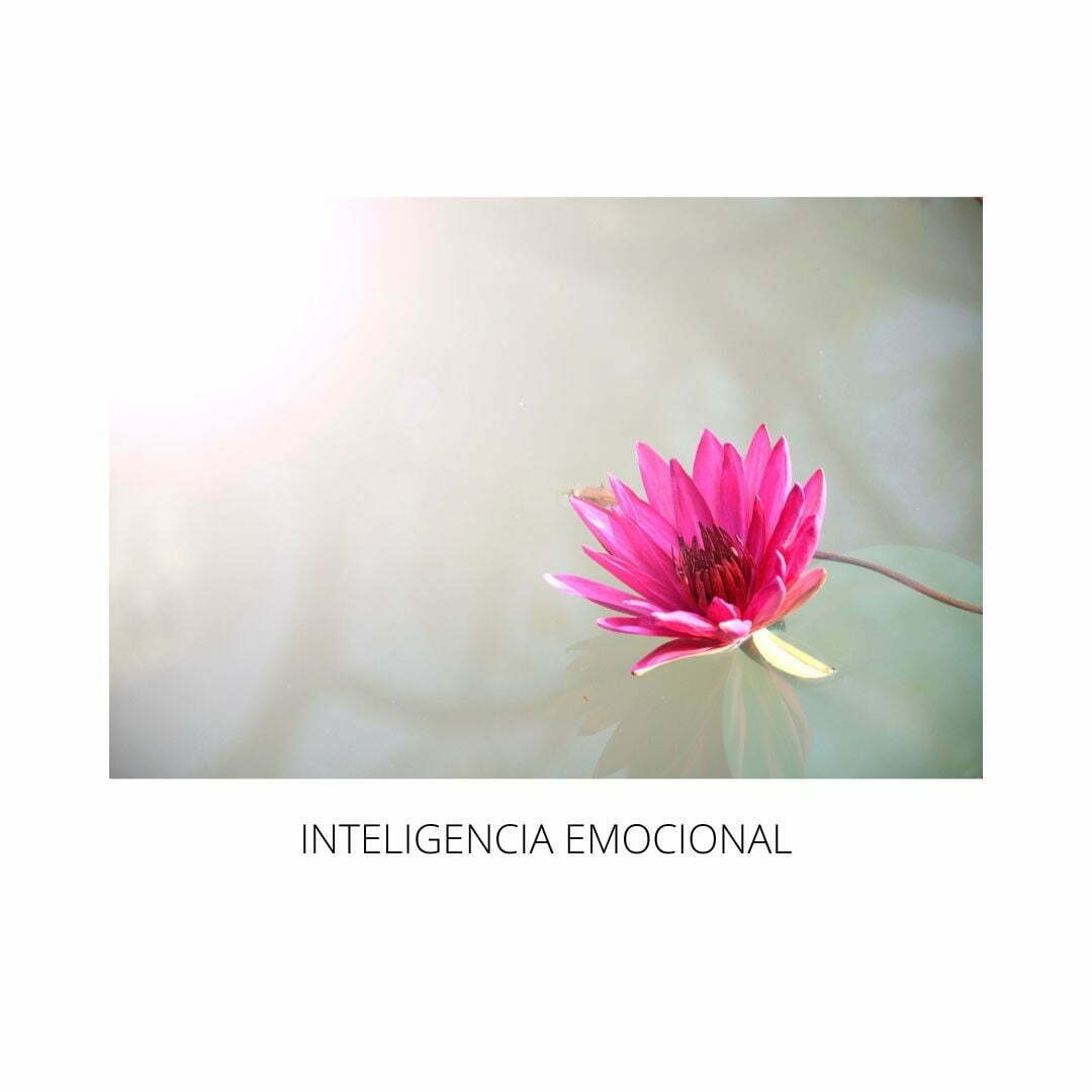 Lee más sobre el artículo INTELIGENCIA EMOCIONAL